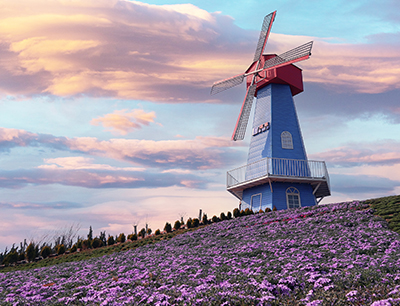 腾博会官网 - 诚信为本,专业服务!