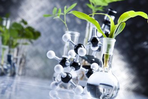 腾博会官网 - 诚信为本,专业服务!