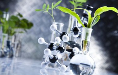 腾博会官网 - 诚信为本,专业服务!