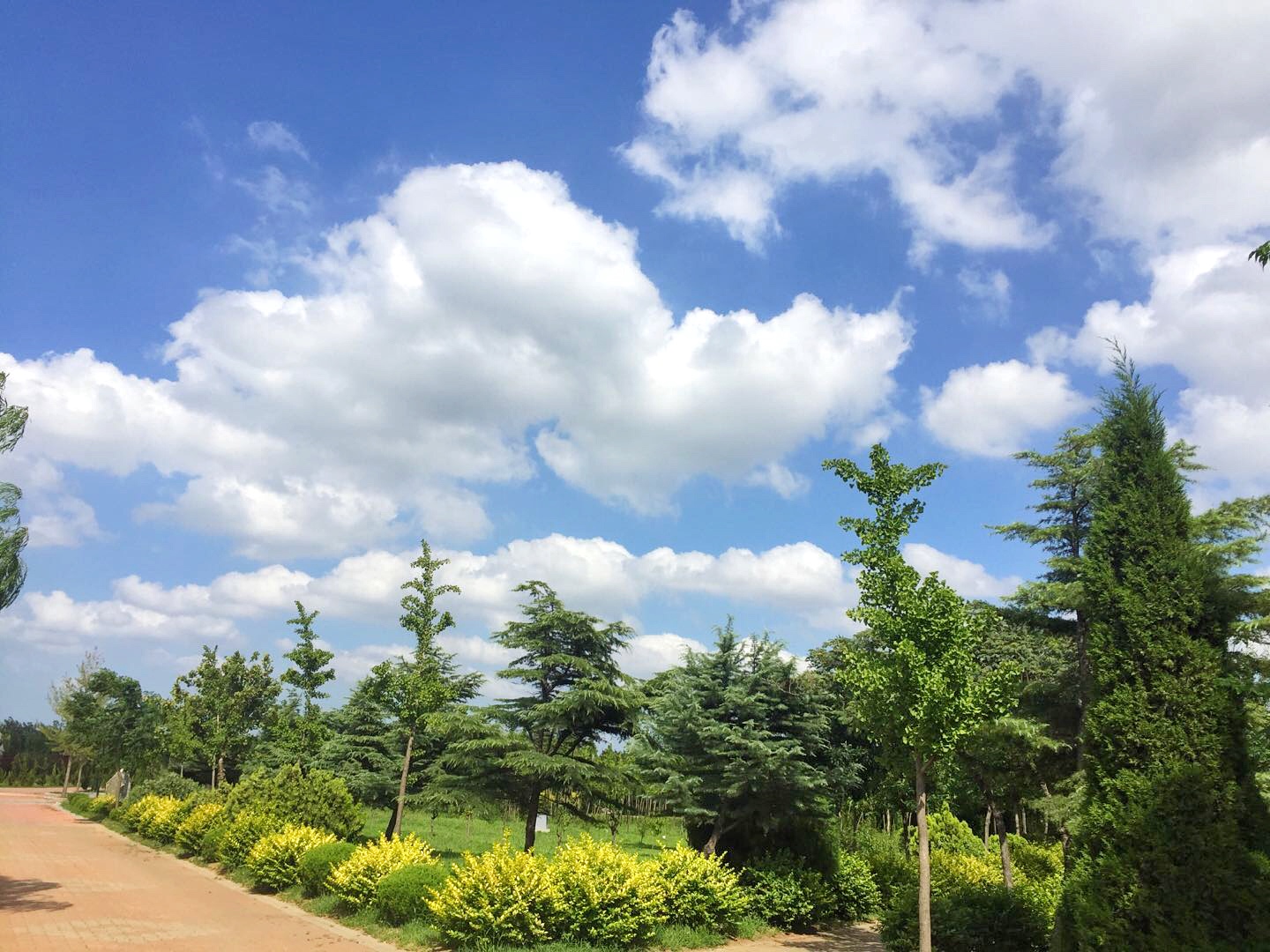 腾博会官网 - 诚信为本,专业服务!