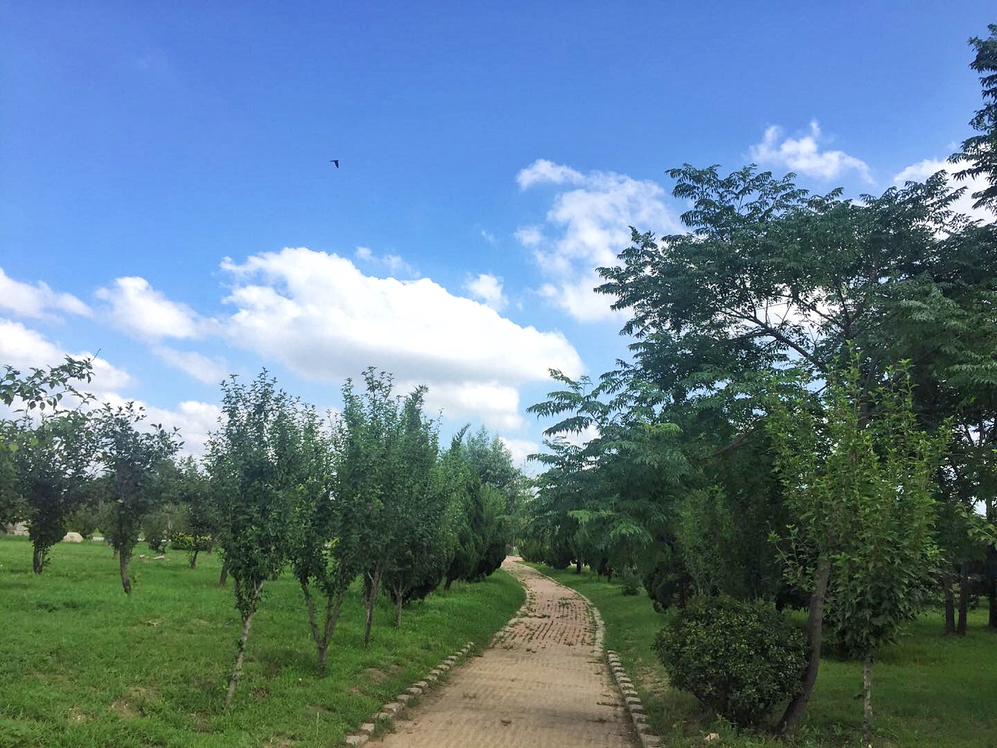 腾博会官网 - 诚信为本,专业服务!